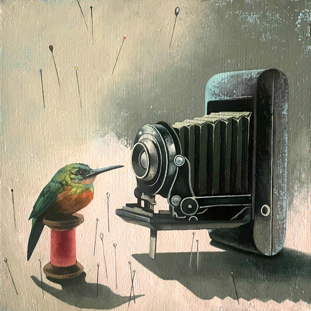 OMN-Kingfisher-Canera